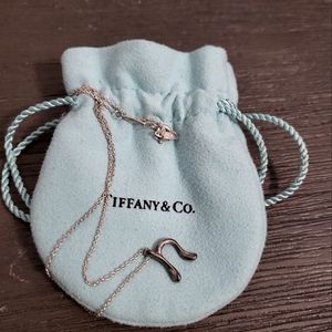 Tiffany&Co necklace N